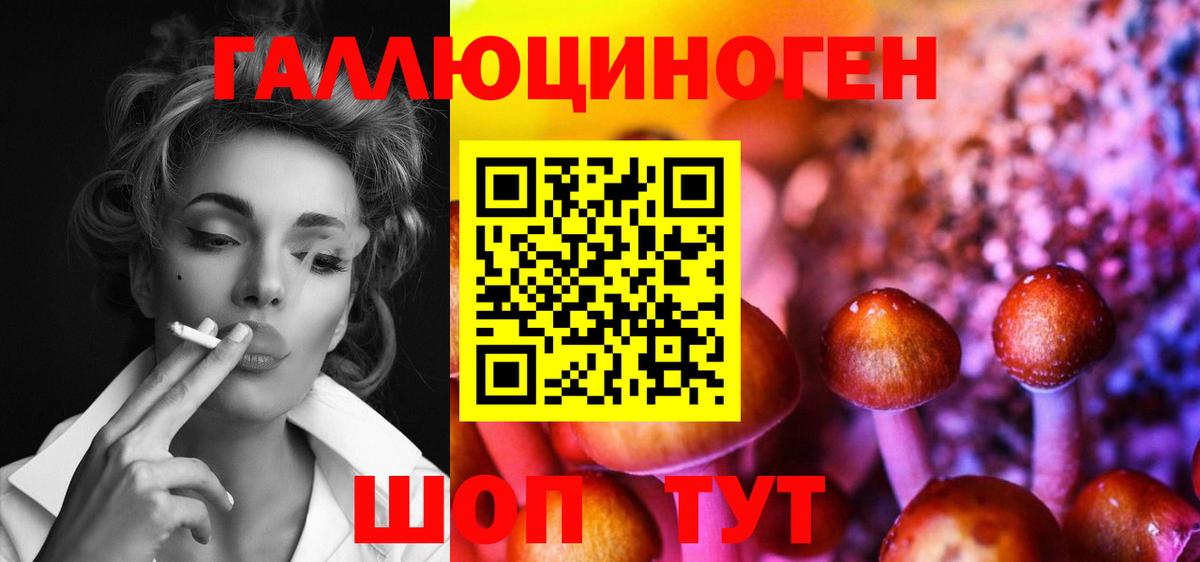 Псилоцибиновые грибы Psilocybine cubensis  Вход с VPN  Кулебаки 